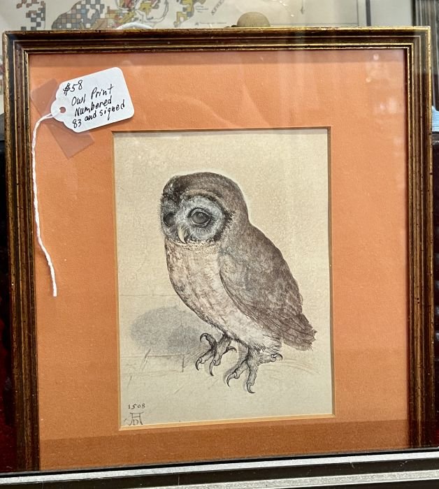 Owl print